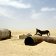 Image for article titled In Tunisia, people actually live in the abandoned set of The Phantom Menace